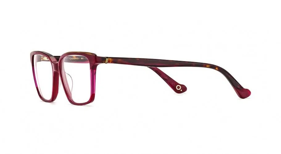Etnia Barcelona CARIBOO Eyeglasses - view 4
